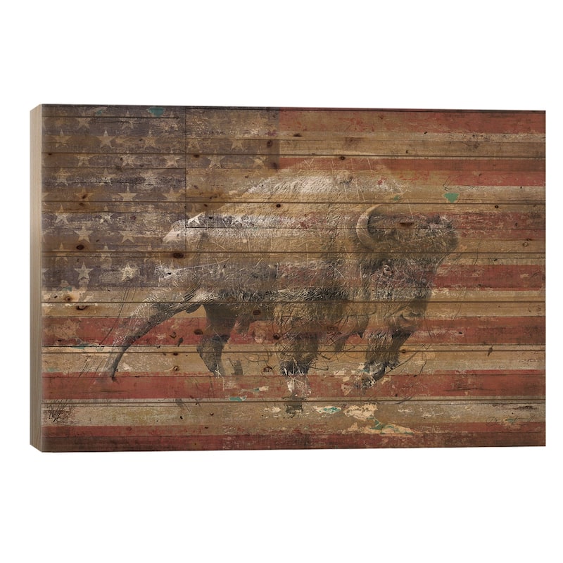 American Bison II Print On Wood by Diego Tirigall - Multi-Color - 18x26x1.5