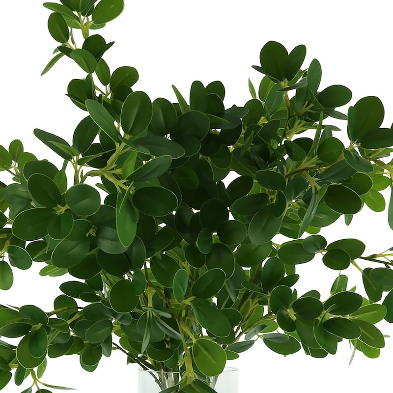 Organic Modern Boxwood Spray Arrangement