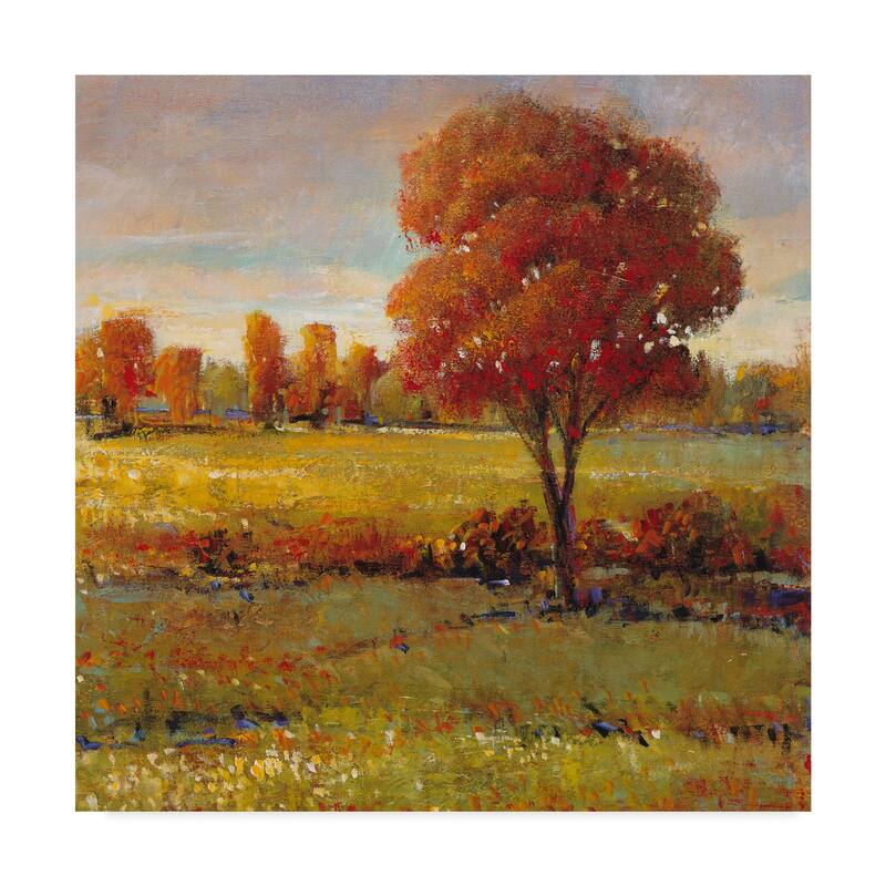 Tim Otoole 'Field In Fall' Canvas Art