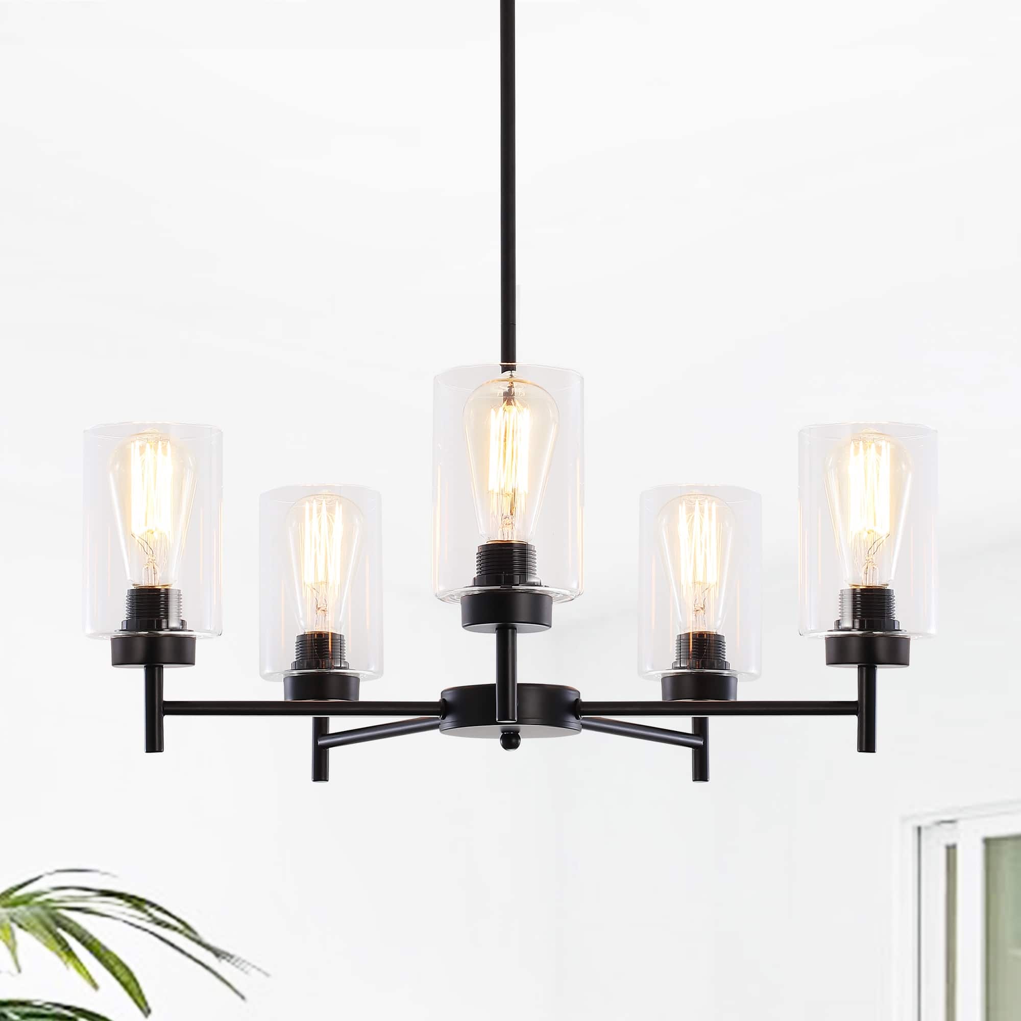 Option Black