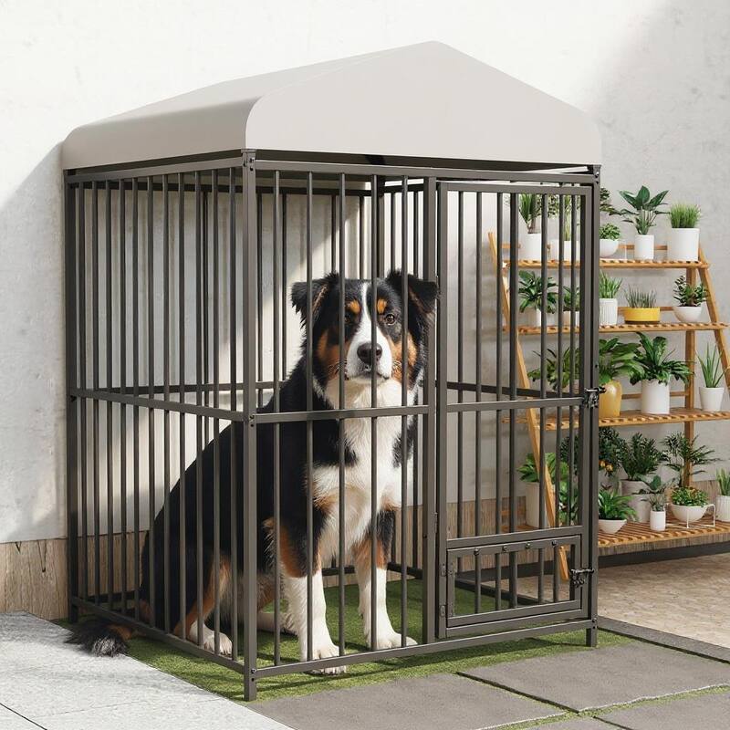 Large Dog Kennel Outside, with Roof and Lock, for Medium and Large Dogs - 4*4*6FT