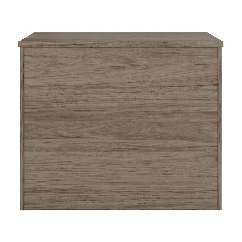 Studio C 2-drawer Lateral File Cabinet by Bush Business Furniture