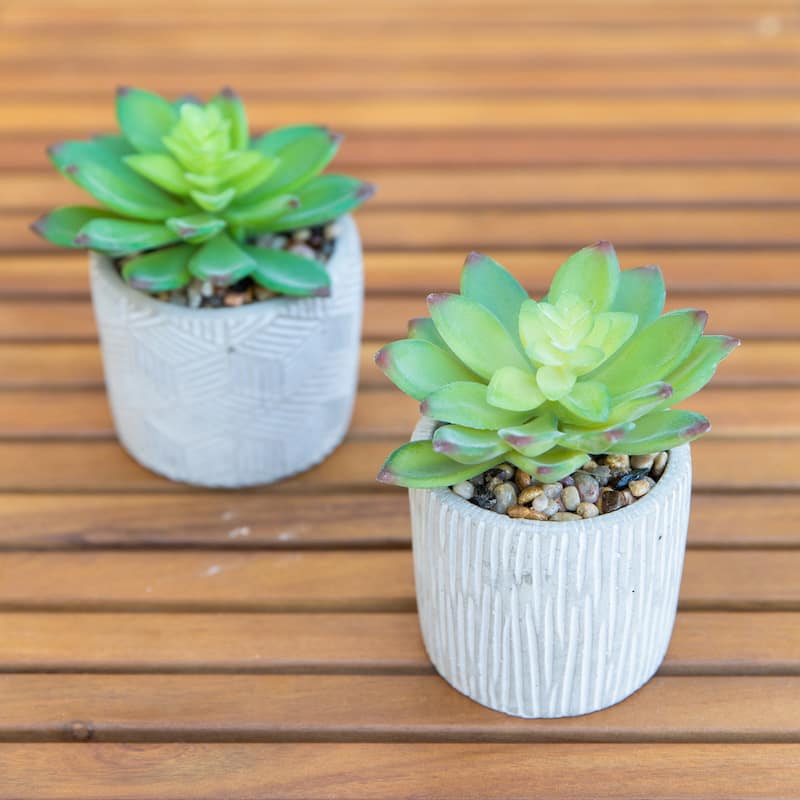 Set Of 2 Pattern Cement Pot