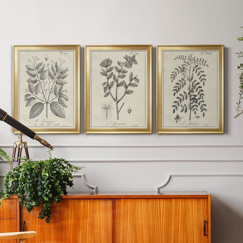 Antique Black & White Botanical VII Premium Framed Canvas - Ready to Hang - Multi-Color