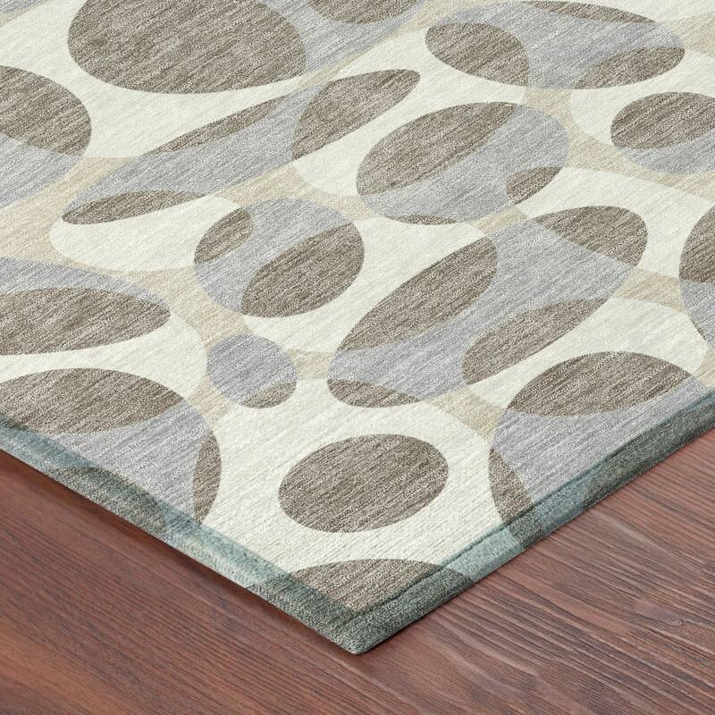 Machine Washable Indoor/ Outdoor Contemporary Saline Chantille Rug