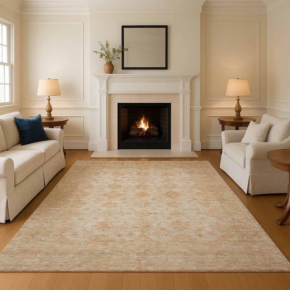 Premium Washable Super Soft Vintage Traditional Mayfield Rug