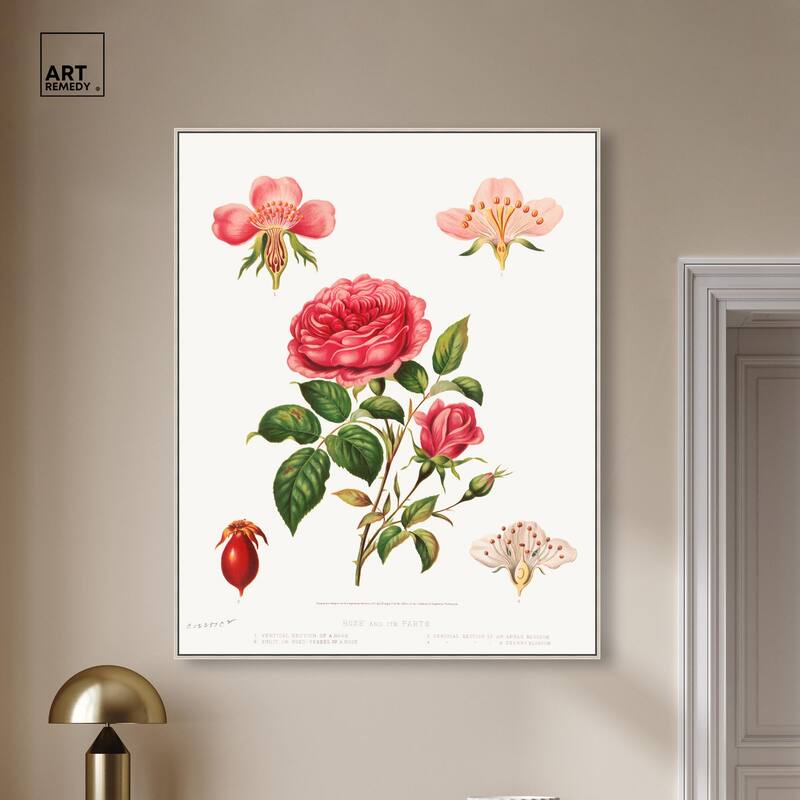 Rose and its parts (1872) Canvas by Art Remedy