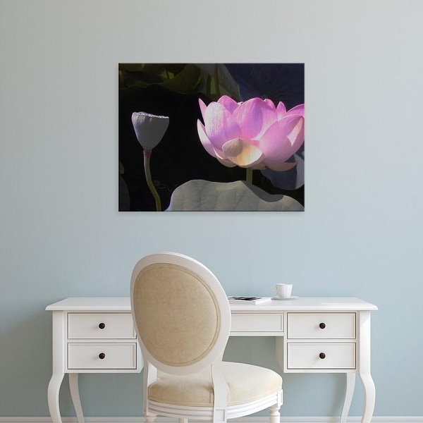 Easy Art Prints Jim Christensen's 'Blushing Lotus III' Premium Canvas Art