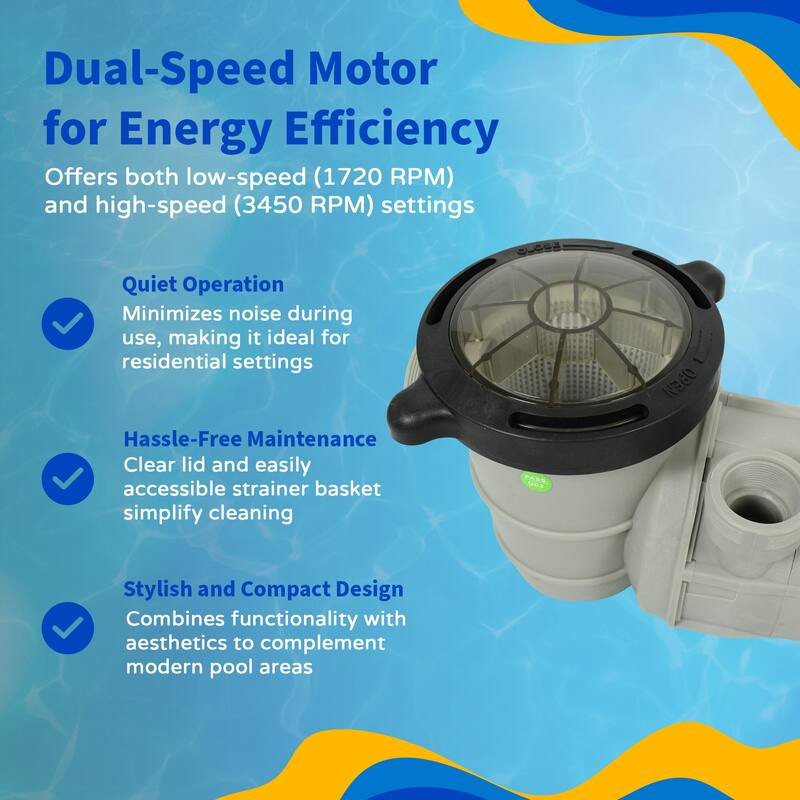 Blue Wave Tidal Wave Maxi II 1.0HP Above Ground Dual Speed Pool Pump