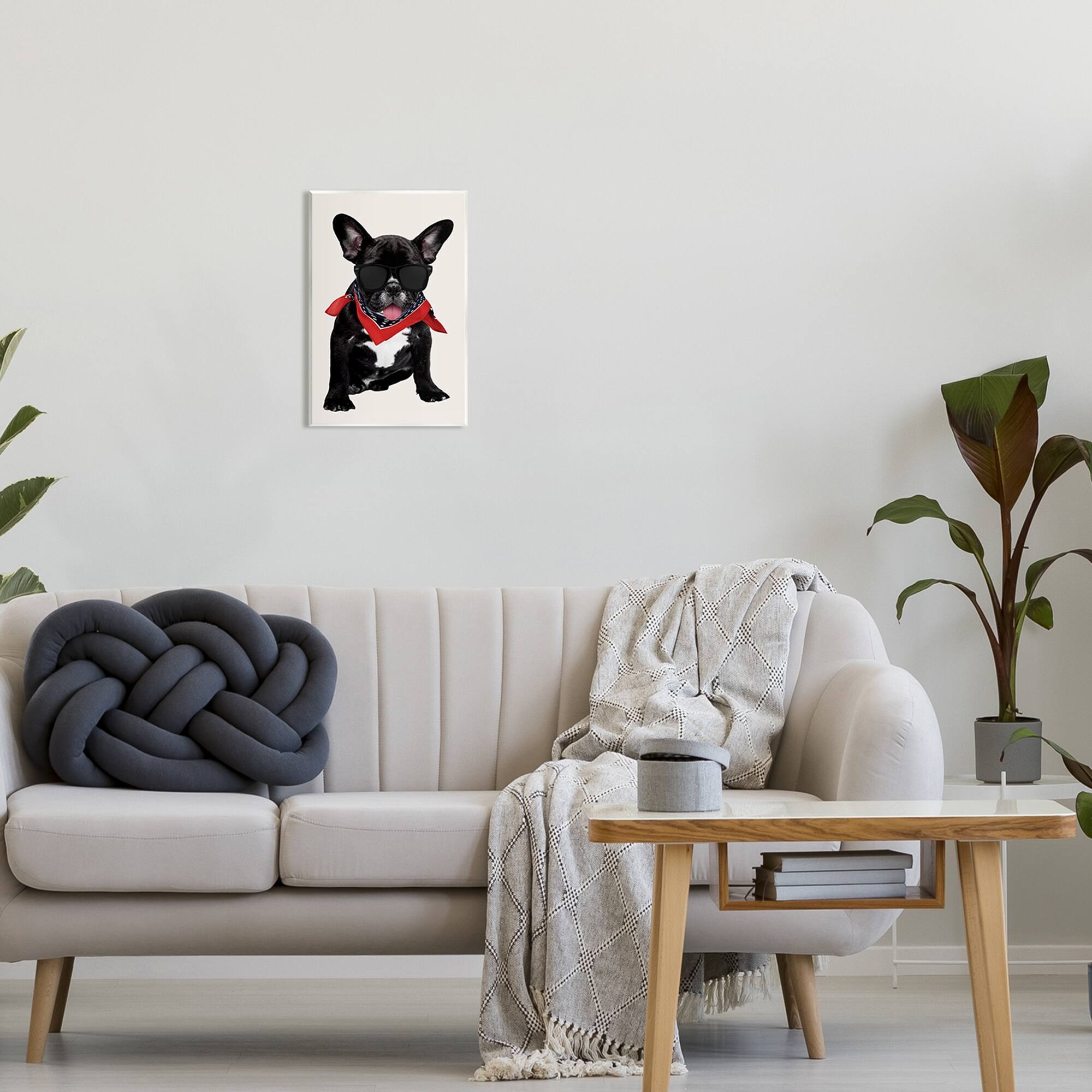Stupell Industries Cool Dude French Bulldog Pet Wall Plaque Art by ...