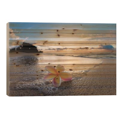 Plumeria Shore Print On Wood by Sean Davey - Multi-Color