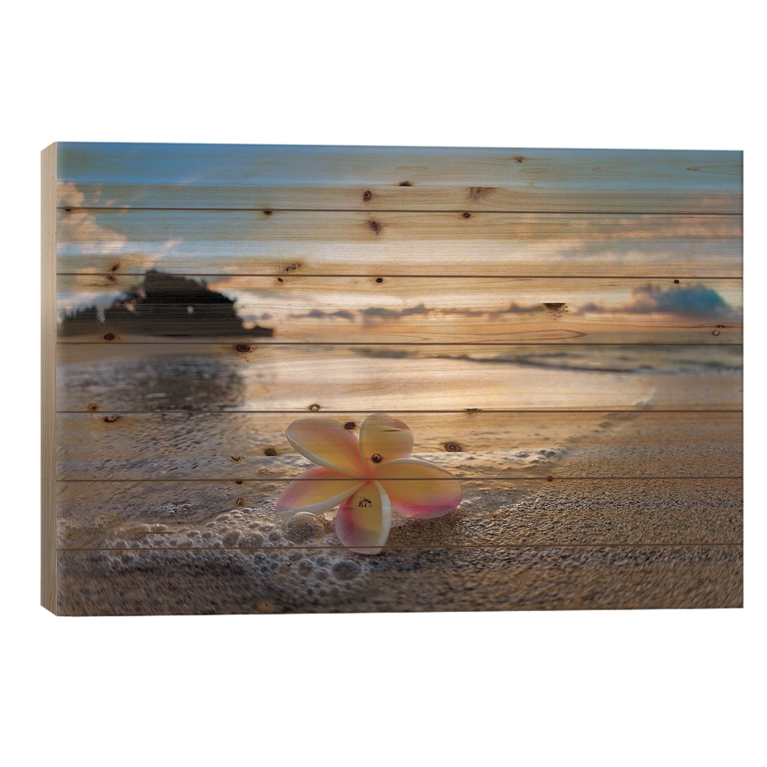 Plumeria Shore Print On Wood by Sean Davey - Multi-Color