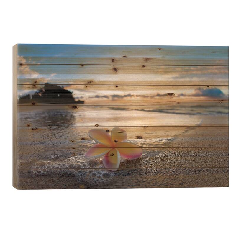Plumeria Shore Print On Wood by Sean Davey - Multi-Color - 18x26x1.5