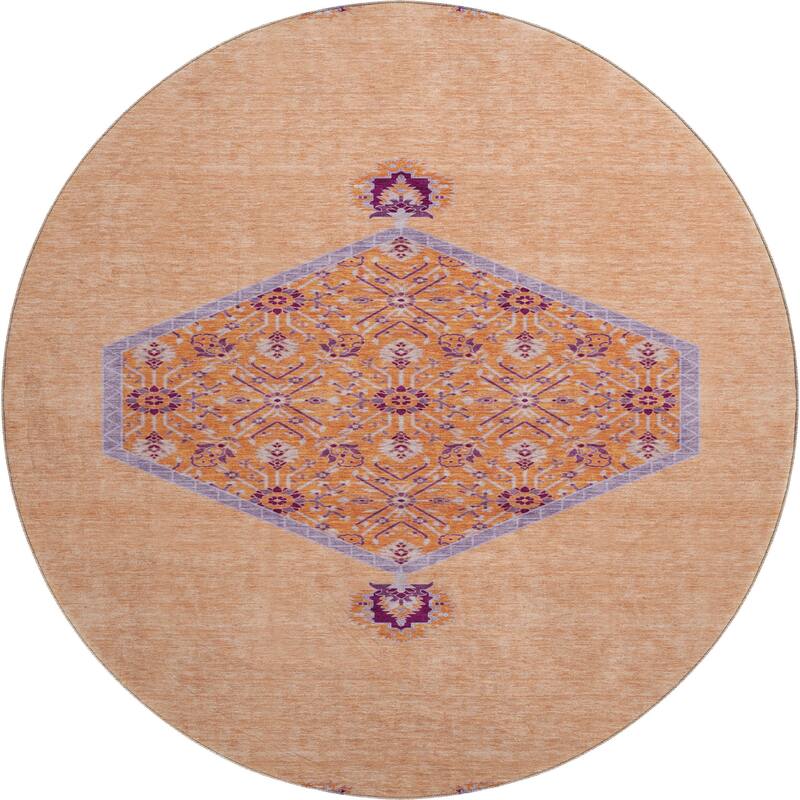 Premium Washable Super Soft Traditional Global Mayfield Rug