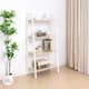 Option Ivory