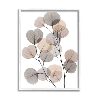 Stupell Modern Eucalyptus Leaf Stems Translucent Brown Grey Leaves Framed Wall Art