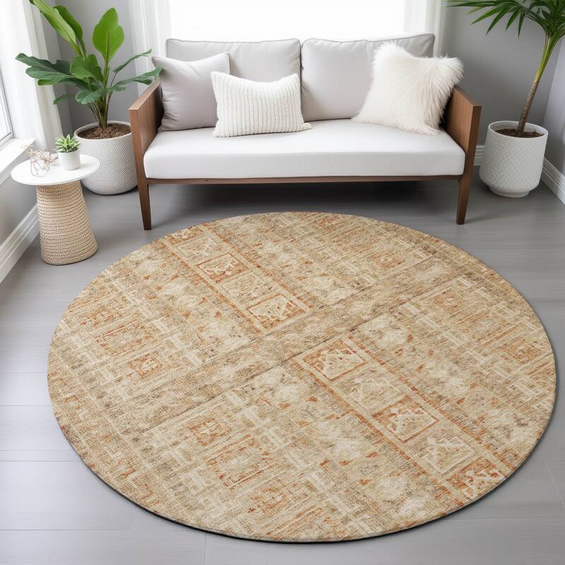Machine Washable Indoor/Outdoor Global Traditional Chantille Rug