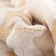 preview thumbnail 6 of 5, Light Brown Stripe Back Printing Shaved Flannel Plush Blanket 80 in. x 90 in.(2 Pack Set of 2)