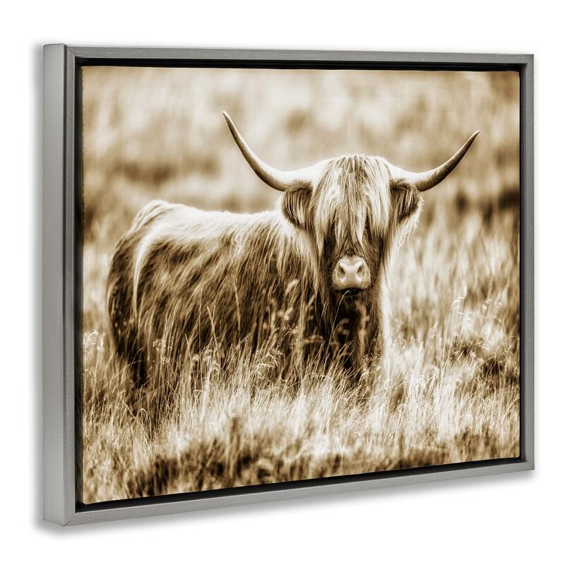 Stupell Vintage Cow In Pasture Animal Photo Floater Frame - Brown