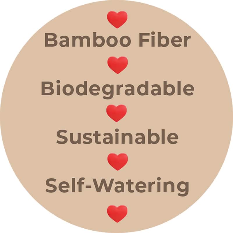 Bamboo Blooms Self-Watering Plant Pot Set of 2,10" Round - 10" Round