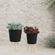 Option Set of 2 Rigid Black