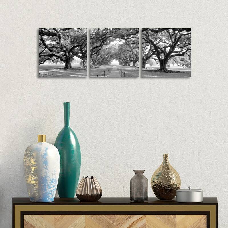 iCanvas "Brick Path Through Alley Of Oak Trees, New Orleans (B&W) II" by Panoramic Images 3-Piece Canvas Wall Art Set - 12x36x1.5