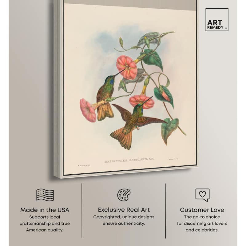 Gould's Hummingbirds Canvas by Art Remedy