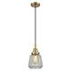 Option Antique Brass / Clear Shade
