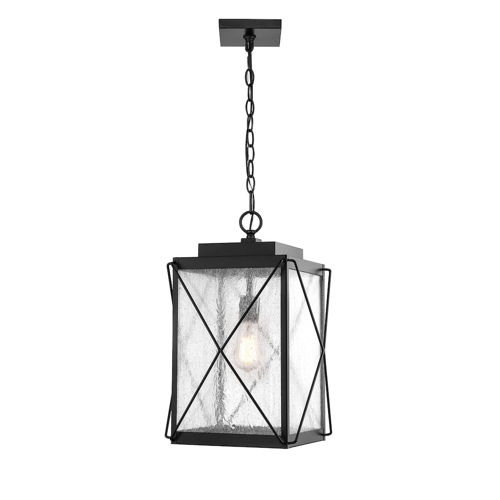 Millennium Lighting Robinson 1 Light Metal Outdoor Hanging Lantern With Clear Seeded Glass Shades