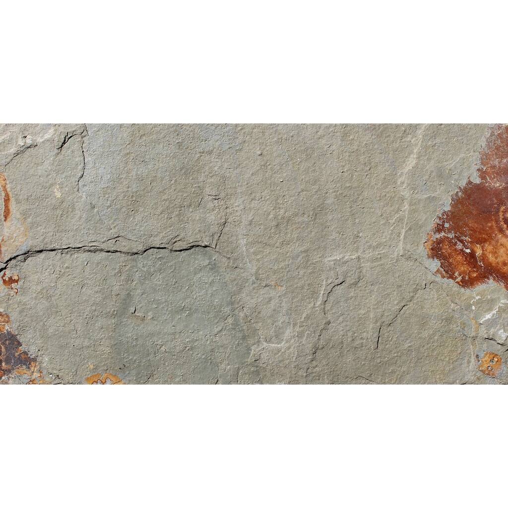 Ackland AKTLT12X24G-PL 12" x 24" Stone Solid Floor and Wall Tile - - Sierra Gold