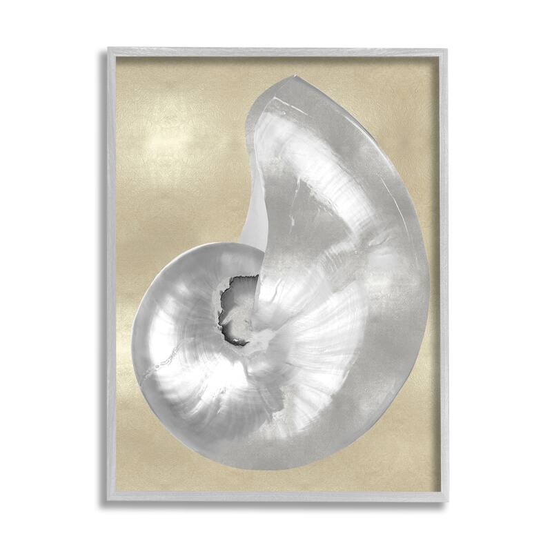 Stupell Glam Nautilus Shell Soft Grey Neutral over Beige Framed Wall Art