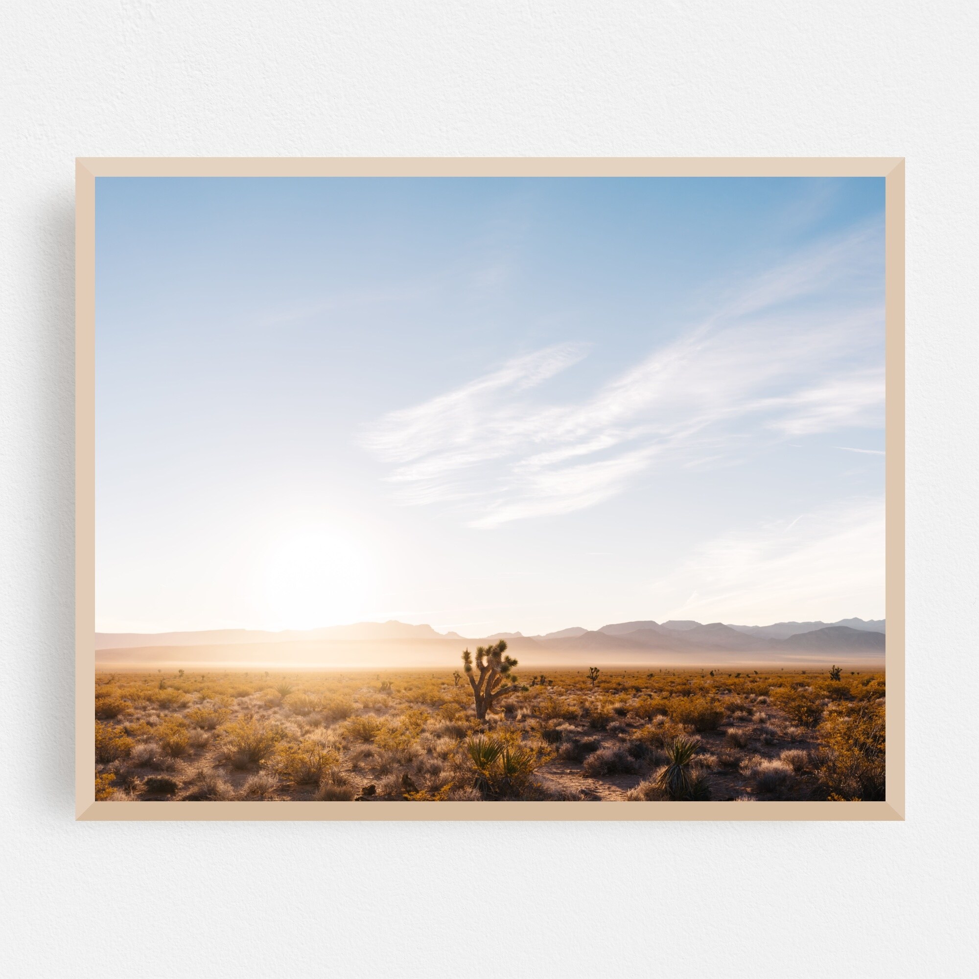 Shop Nevada Cactus Clouds Desert Landscape Framed Wall Art Print Overstock 31899195