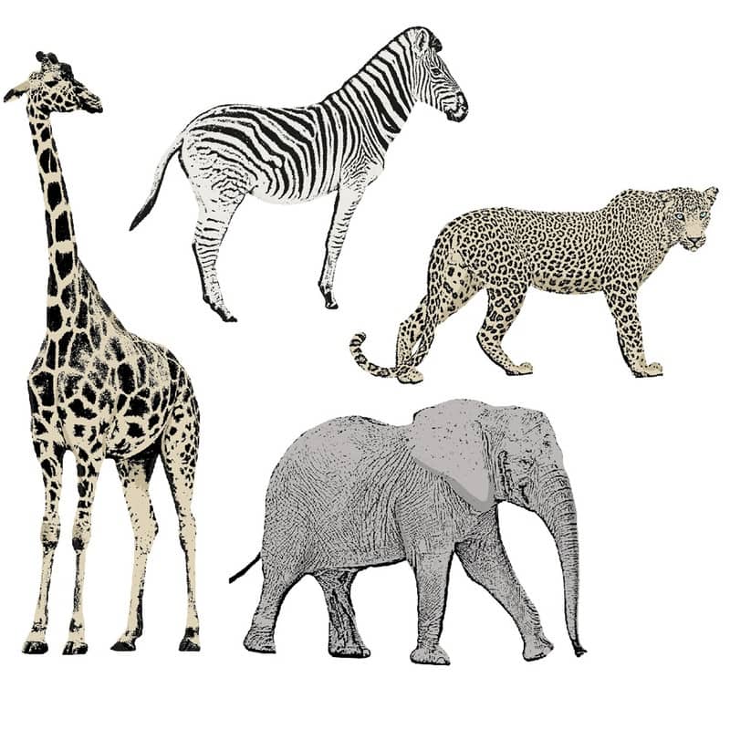 Tempaper Safari Animals Removable Wall Decals (Contains 4 Pieces on (2) 17.25" x 9.75" Sheets)