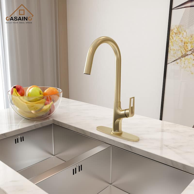 Single Handle Pull-Down Sprayer Kitchen Faucet