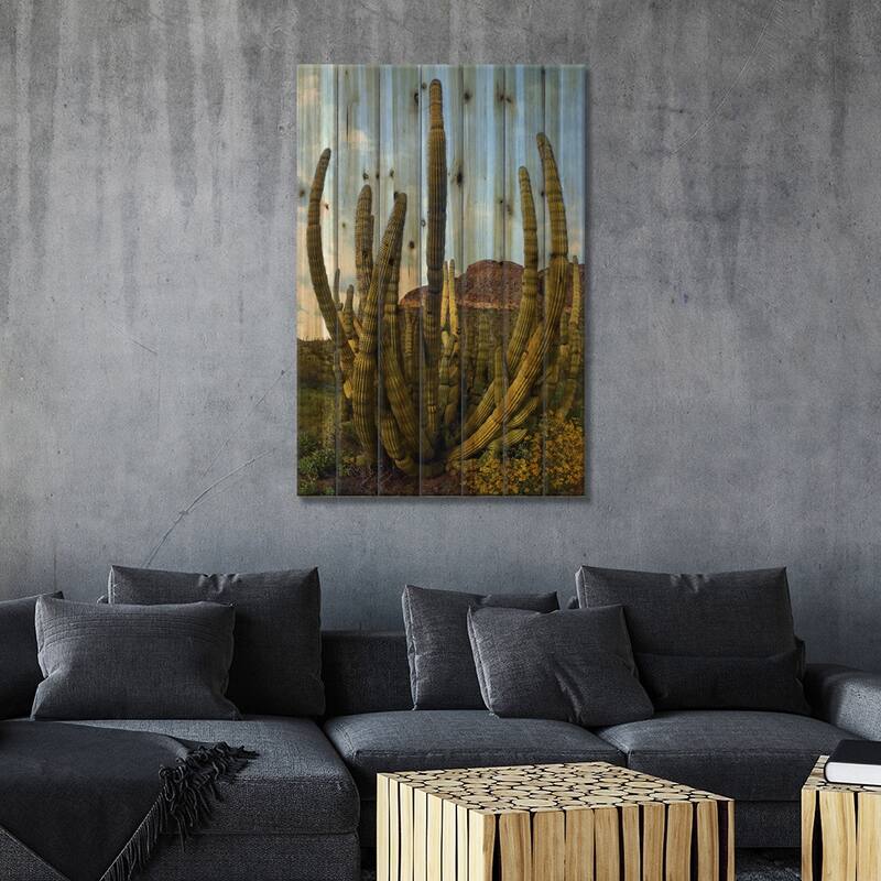 Organ Pipe Cactus, Organ Pipe Cactus National Monument, Sonoran Desert, Arizona I Print On Wood by Tim Fitzharris - Multi-Color