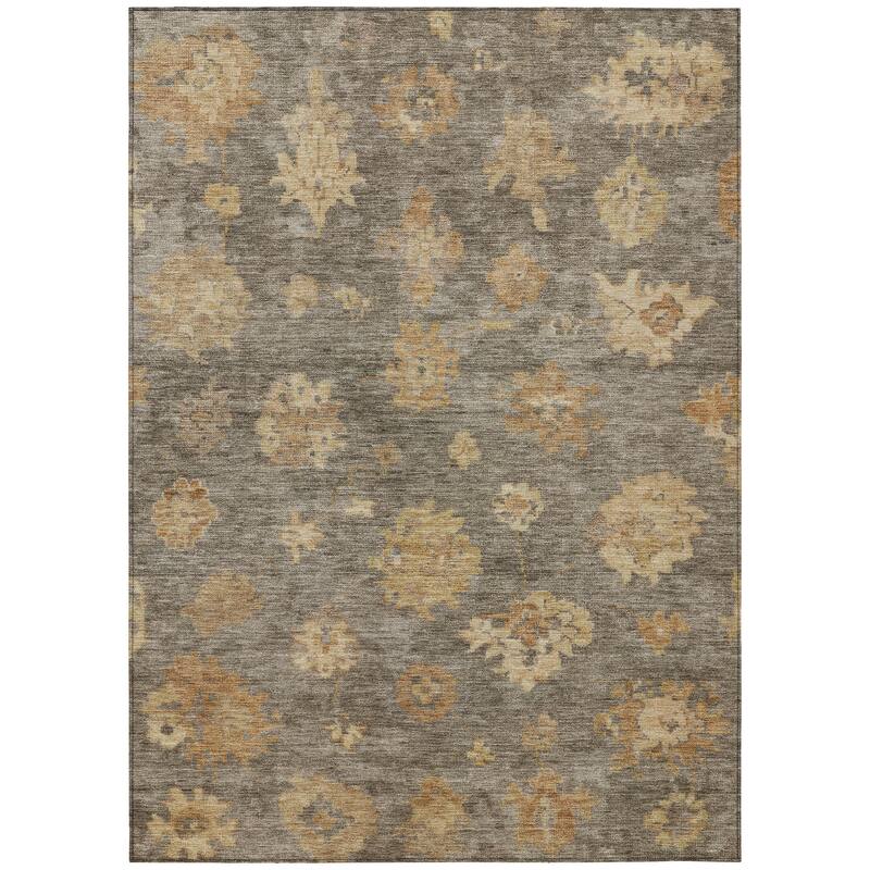Machine Washable Indoor/ Outdoor Casual Traditional Chantille Rug