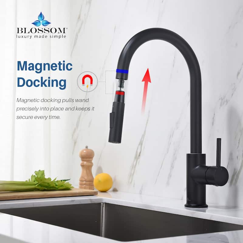 Blossom Solid Pull-Down Kitchen Faucet w/ 360 Swivel, Single Handle