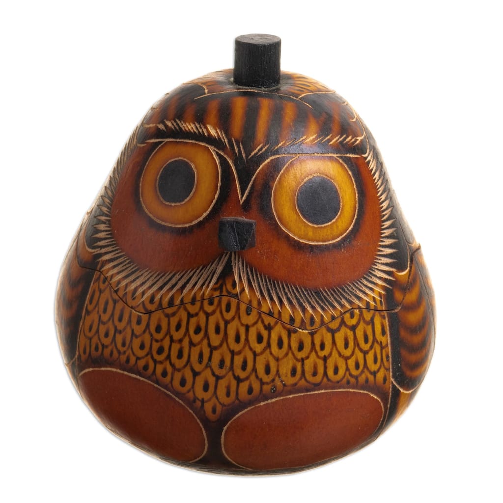 Novica Handmade Owls Wisdom Dried Mate Gourd Decorative Box