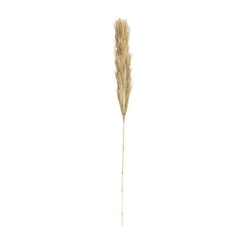 Dried Plant Pampas Grass Tall Home Decor Natural Foliage - Brown - Roche River Decor - Brown