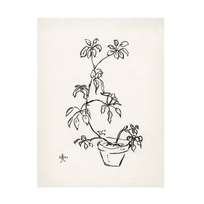 Joseph Roberts 'Floral Ink Study I' Canvas Art Bed Bath & Beyond