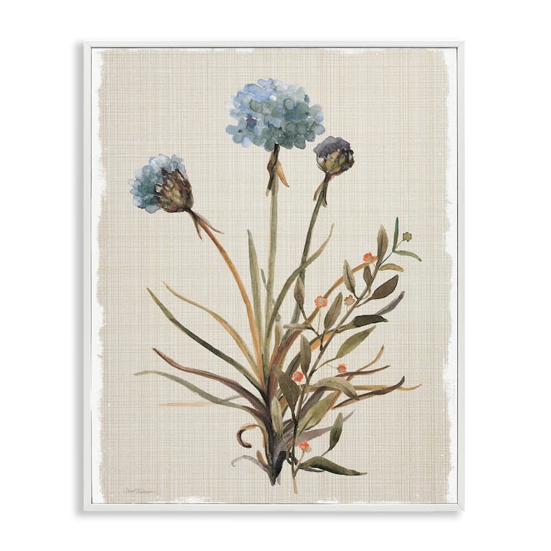 Stupell Natural Hydrangea Buds Framed Giclee Art Design By Carol Robinson - 24 x 30 - White