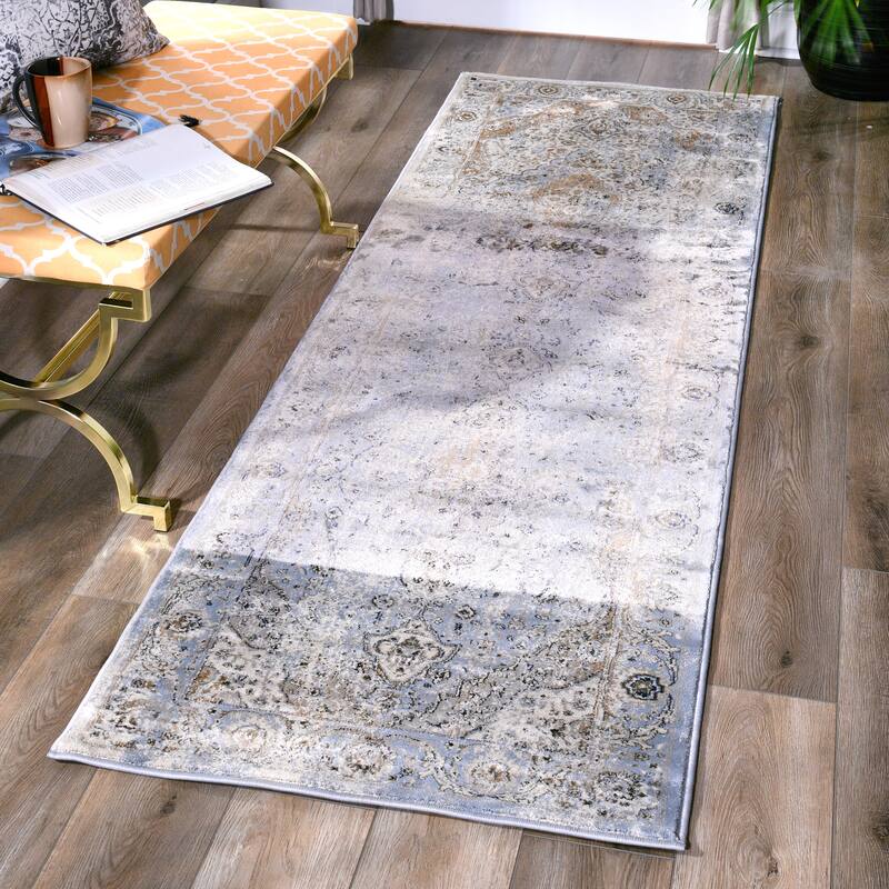 Antique Collection Traditional Area Rug