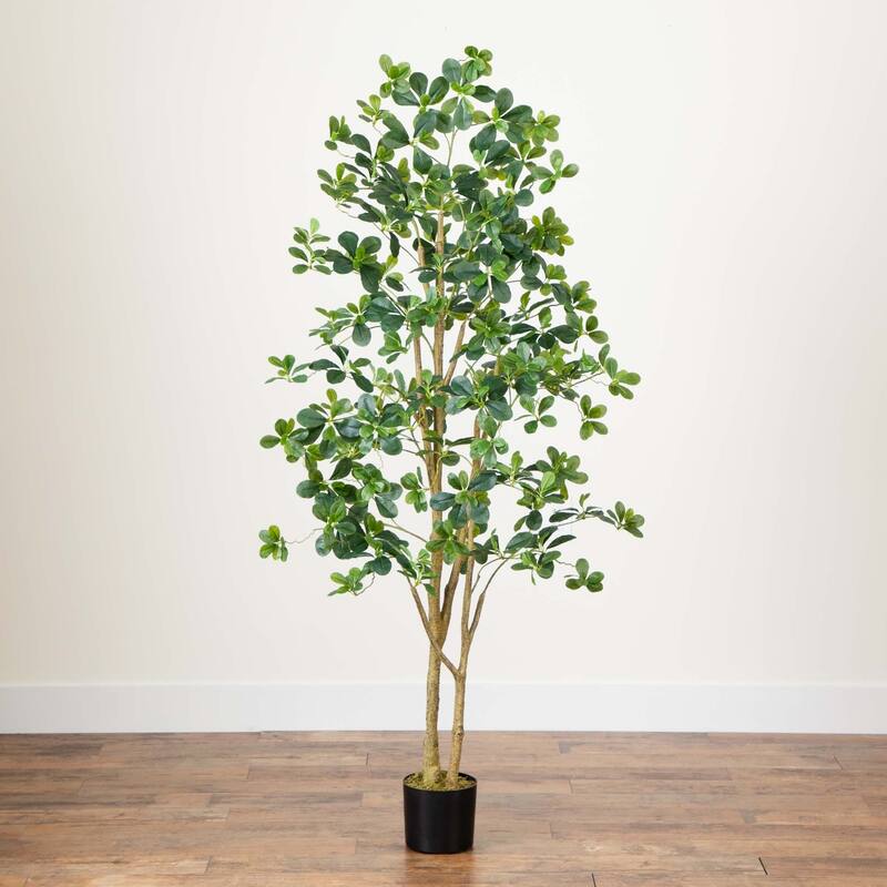 Potted Black Olive Artificial Tree - 6' - Green
