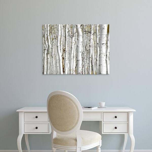Shop Easy Art Prints Photoinc Studio S Birch Wood Premium Canvas