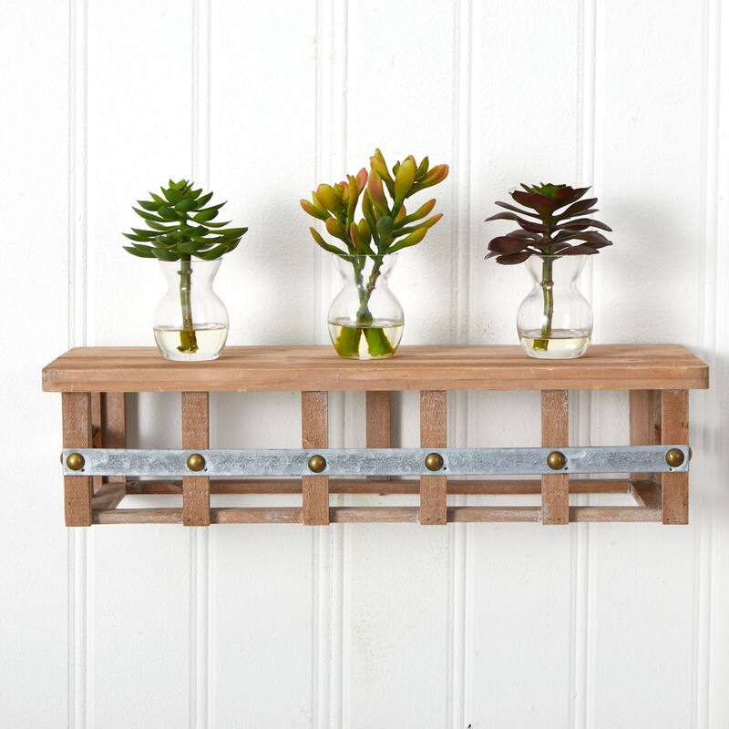 Succulent Arrangements Set of 3 - Decorative Faux Succulents in Vases - Home Office Decor - 6