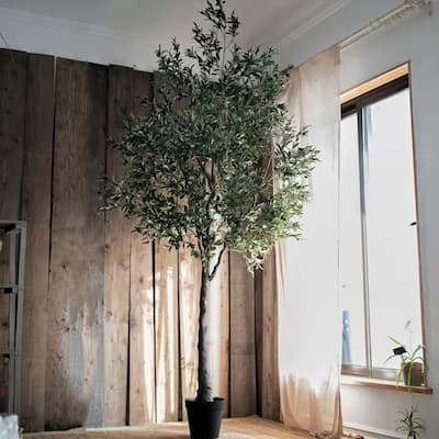 RusticReach Extra Large Tall Olive Tree 118" Tall - 118" Tall