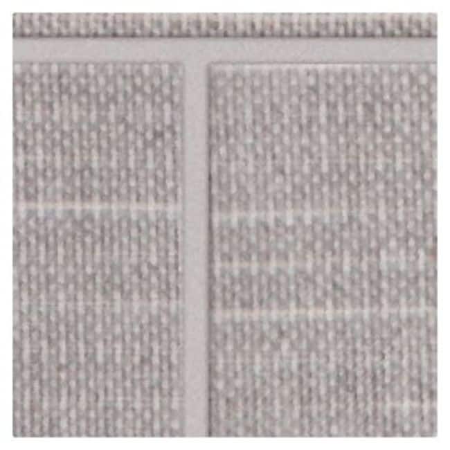 Option Chenille