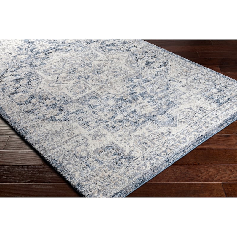 Artistic Weavers Fiorina Updated Medallion Plush Area rug