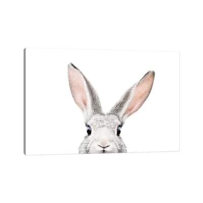 iCanvas "Peekabo Bunny" by Sisi & Seb Canvas Print
