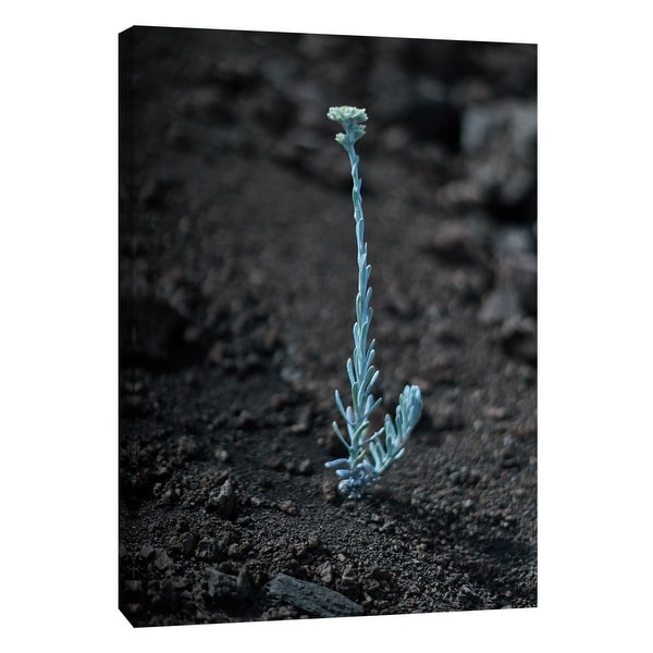PTM Images 9-108353 PTM Canvas Collection 10" x 8" - "Hawaii Flower A" Giclee Flowers Art Print on Canvas